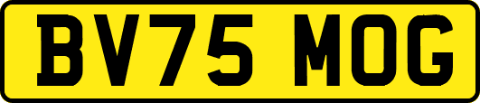 BV75MOG