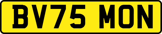 BV75MON