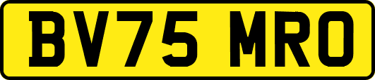 BV75MRO