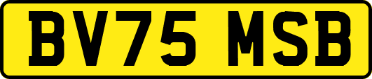 BV75MSB