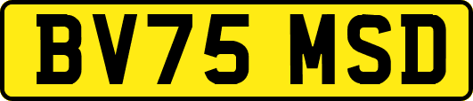BV75MSD