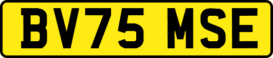 BV75MSE