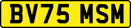 BV75MSM