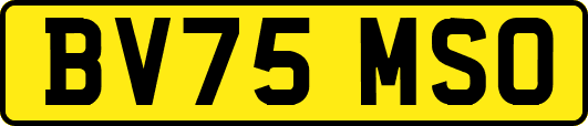 BV75MSO