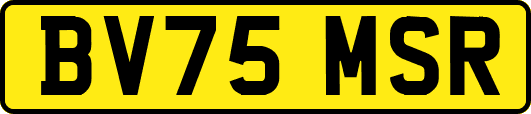 BV75MSR