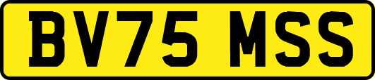 BV75MSS