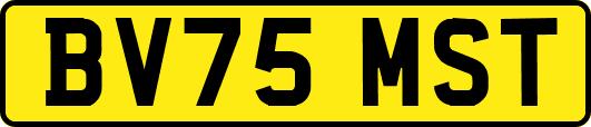 BV75MST