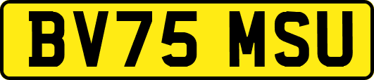 BV75MSU