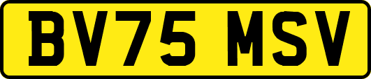 BV75MSV