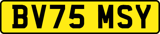 BV75MSY