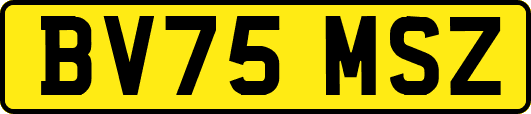 BV75MSZ