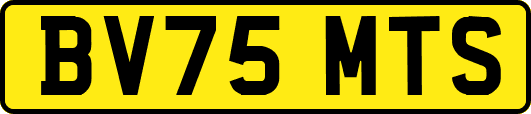 BV75MTS