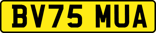 BV75MUA