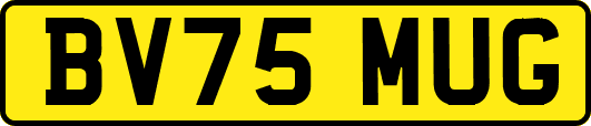 BV75MUG