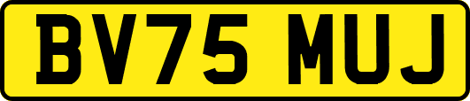 BV75MUJ