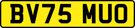 BV75MUO