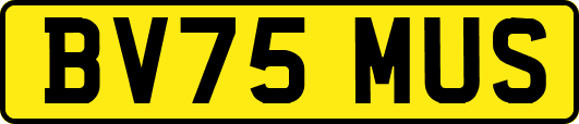 BV75MUS