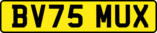 BV75MUX