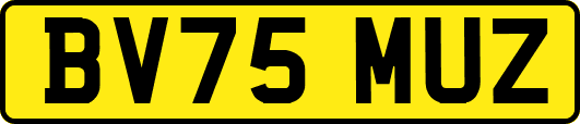 BV75MUZ