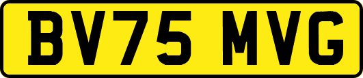 BV75MVG