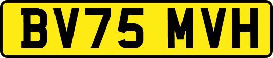 BV75MVH