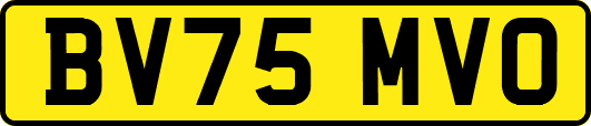 BV75MVO