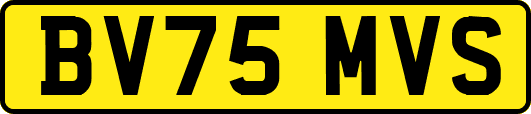 BV75MVS