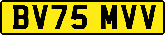 BV75MVV