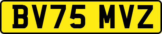 BV75MVZ