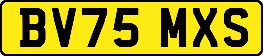 BV75MXS