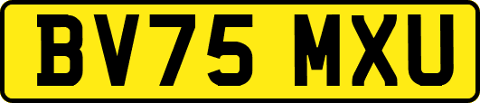 BV75MXU