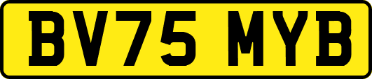BV75MYB