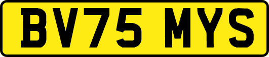 BV75MYS