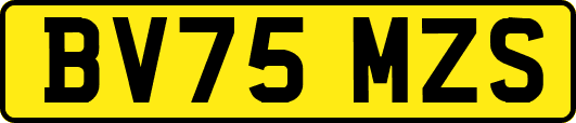 BV75MZS