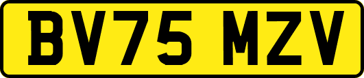 BV75MZV