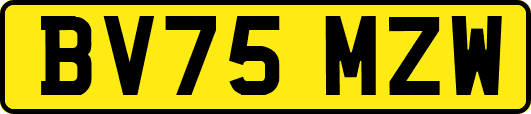 BV75MZW
