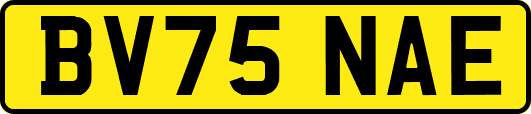 BV75NAE
