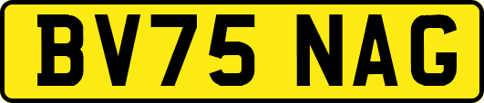 BV75NAG