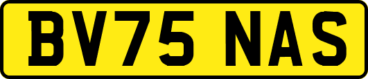 BV75NAS