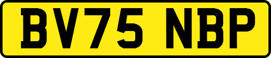 BV75NBP