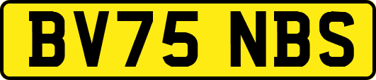 BV75NBS