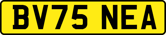 BV75NEA