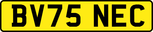 BV75NEC