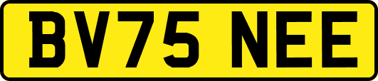 BV75NEE