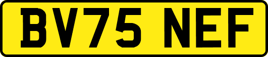 BV75NEF