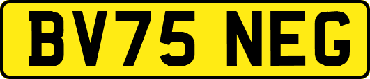 BV75NEG