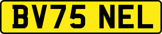 BV75NEL