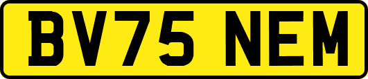 BV75NEM
