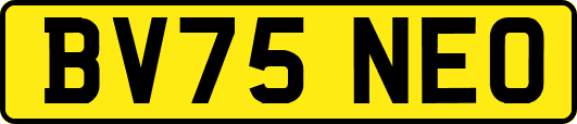 BV75NEO