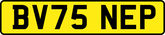 BV75NEP